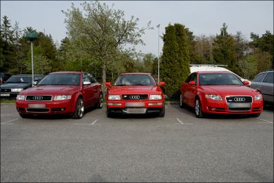 Audis