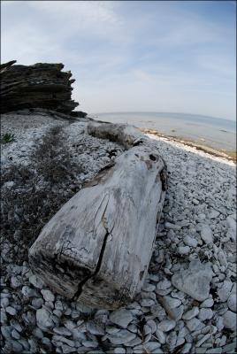 Gotland, Sweden May 2006