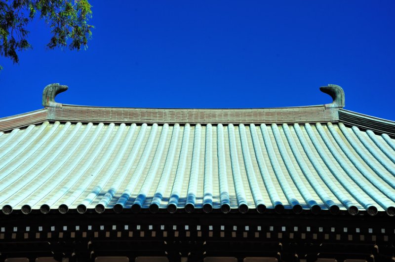 Architecture? Or Pure Art?