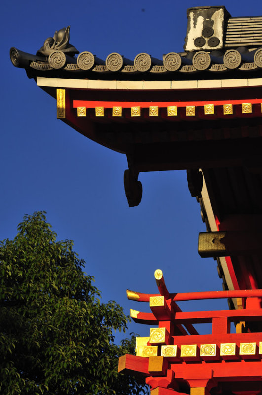 Beautiful Sunset Light Detail