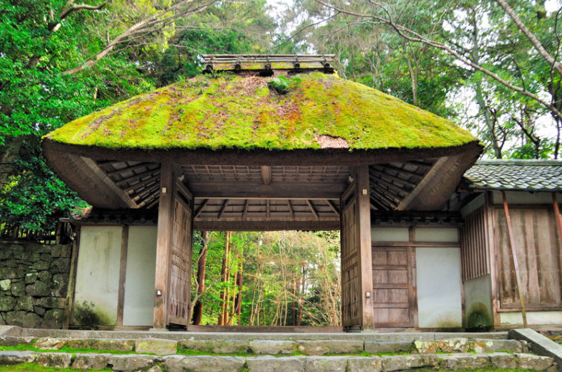 The Rustic Gate