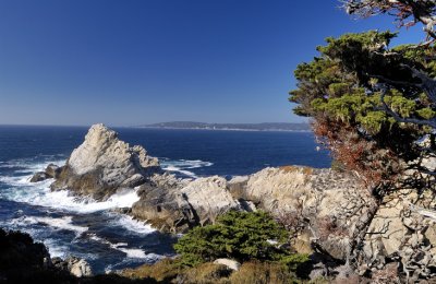 Point Lobos CA