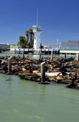 Seal Harbour