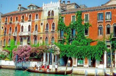 Colourfull Palazzo