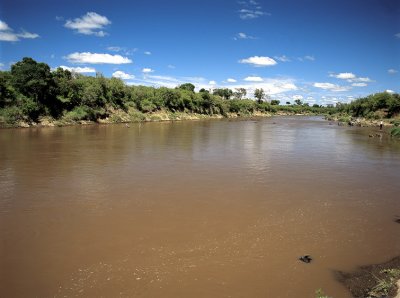 Masai Mara River