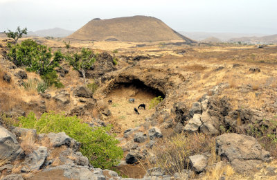 Animal Corral on Volcanic Cave