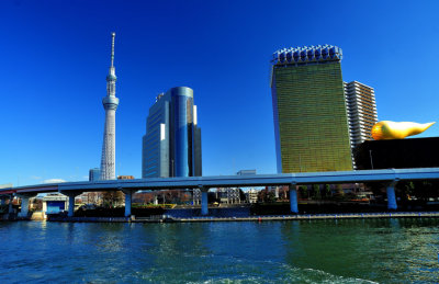 Up the Sumida River