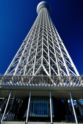 New Tokyo Tower Close