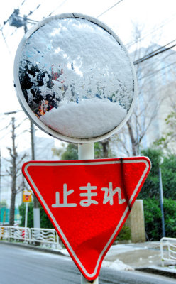 Snowed Mirror