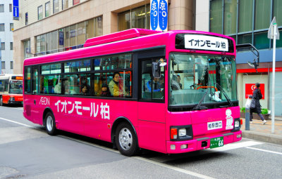 The Purple Bus