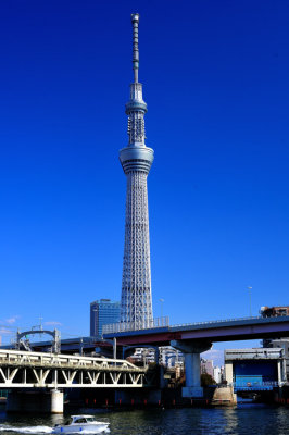 The Tower and the Bridges