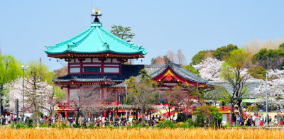 Ueno Temple in Sakura