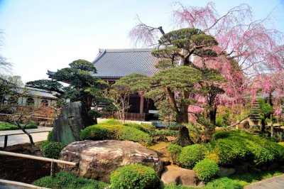 Shrine and Japanese Gardens