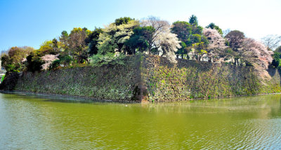 Moat to the Imperial Palace