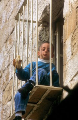 Kid in Caged Window...