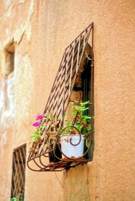 Yaffo Window