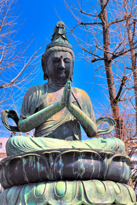 Buddha Praying