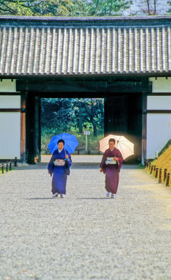 Ladies of Kyoto