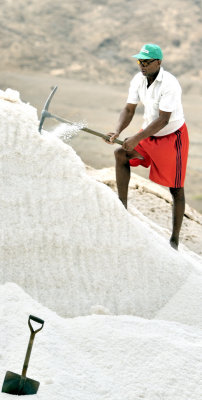 Salt Pans Worker