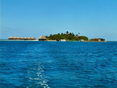 Vadhoo From the Sea
