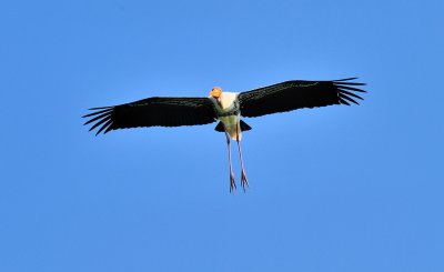 On Approach to Runway...