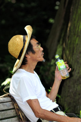 Typical Japanese Resting in the Park, on Hot Summer Day...