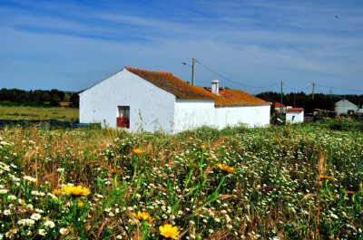 Alentejo House