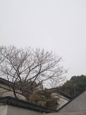Suzhou-025.jpg