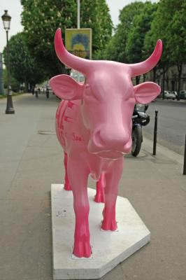 May 2006 -  La viande et ses bienfaits - Exhibition avenue des Champs Elyses 75008