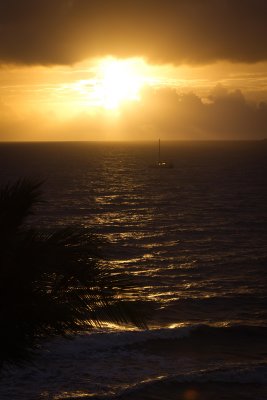 Maui2011_I7C3472.jpg