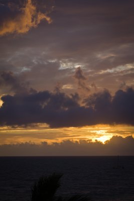 Maui2011_I7C3490.jpg