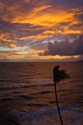 Maui2011_I7C3500.jpg