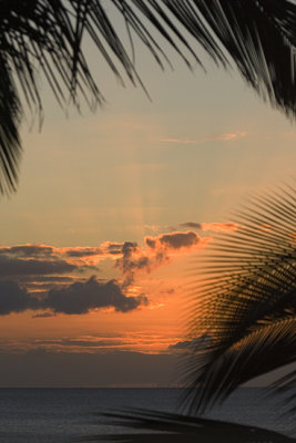 LH0G9418Sunset.jpg