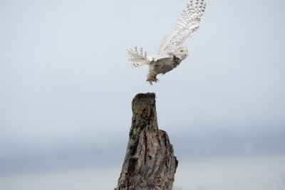 _RW10431.jpg