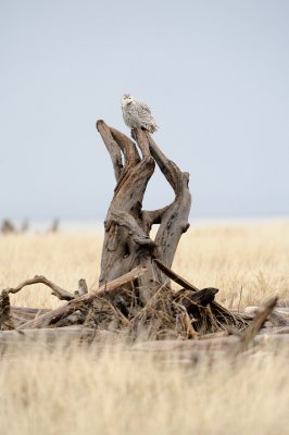 _RW10462.jpg