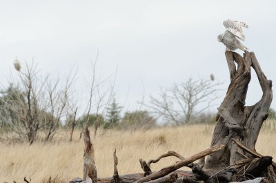 _RW10477.jpg