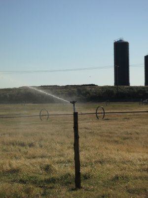 Irrigation Pasture Sprinklers
