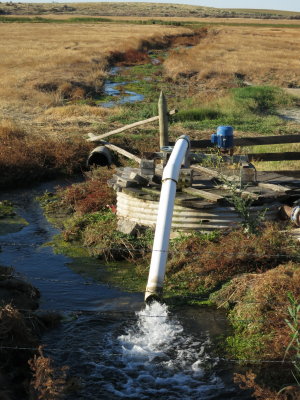 Irrigation Delivery Pump