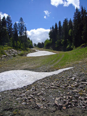 Snow on the slopes in June, at 1,500 feet