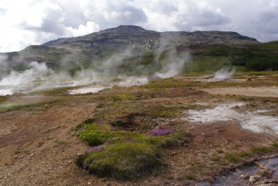 The geysir area