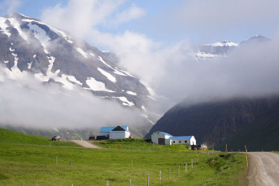 Icelandic farm