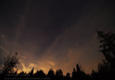 IMG_5329.jpg