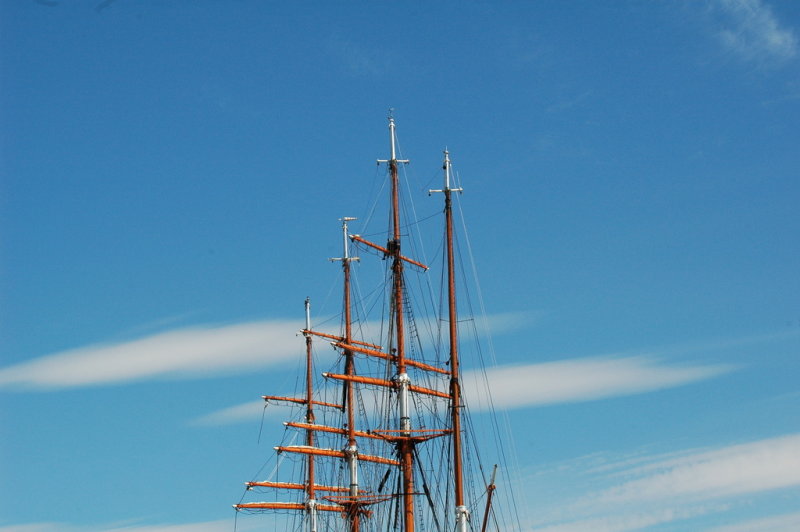 DSC_0223.JPG