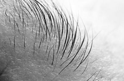 Brow, by Jayson Craig