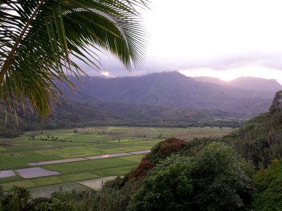 Hanalei NWR