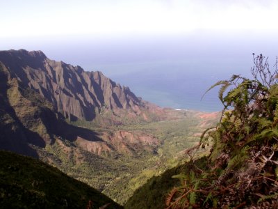 Pihea Trail view