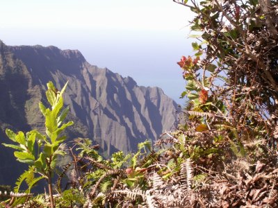 Pihea Trail view