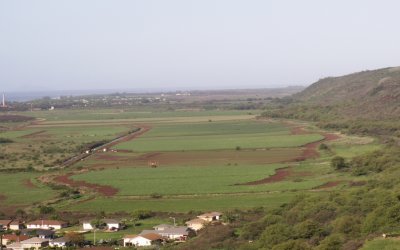 Waimea