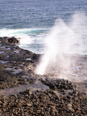 Spouting Horn Blowhole