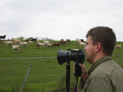 TJ addresses cattle